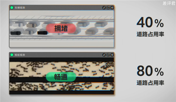 研究完蚂蚁搬家 我好像明白了为什么我们总是堵车